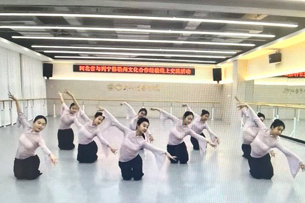 Мастер-класс по китайскому классическому танцу для студентов и преподавателей областного колледжа культуры и искусства