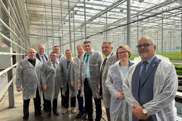 Куба знакомится с агропромом Ленинградской области